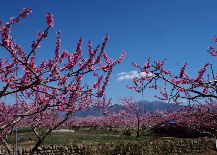 i. Shimpu Togenkyo (Yamanashi Prefecture)