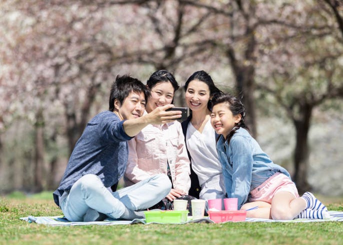 梅 桃 桜 春を告げる３つの花の違いと見分け方徹底解説 Live Japan 日本の旅行 観光 体験ガイド