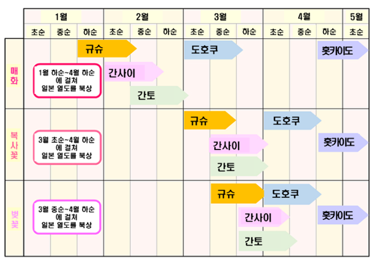 대략적인 지역별 개화시기