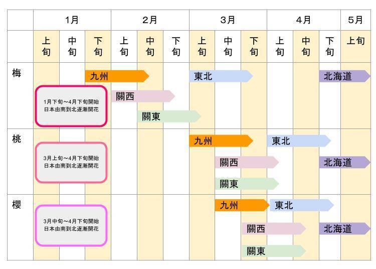 往年日本各地的开花时期