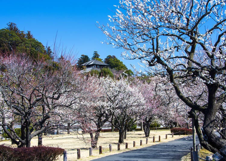 ①偕樂園／茨城縣