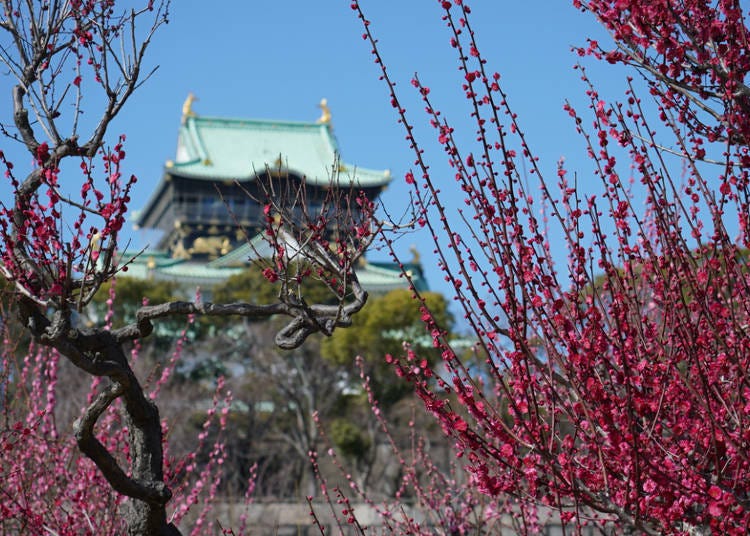 ②大阪城公園／大阪府