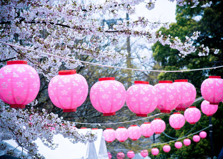 일본 각지에서 열리는 ‘벚꽃축제’는? ‘꽃놀이’과의 다른점과 유명 축제 총정리