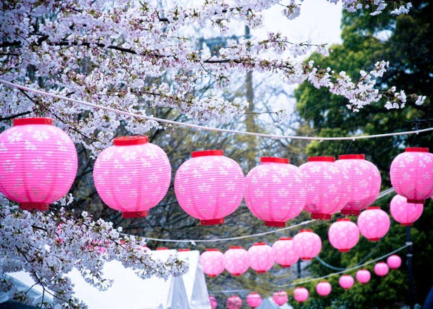 日本各地で開催される「桜まつり」とは？花見との違いや有名桜まつりを知って楽しもう