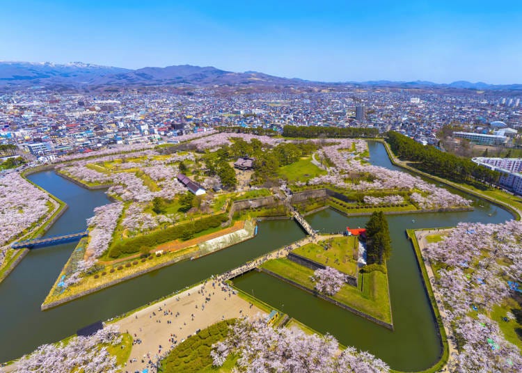 1. Goryokaku Cherry Blossom Festival (Hakodate City, Hokkaido)