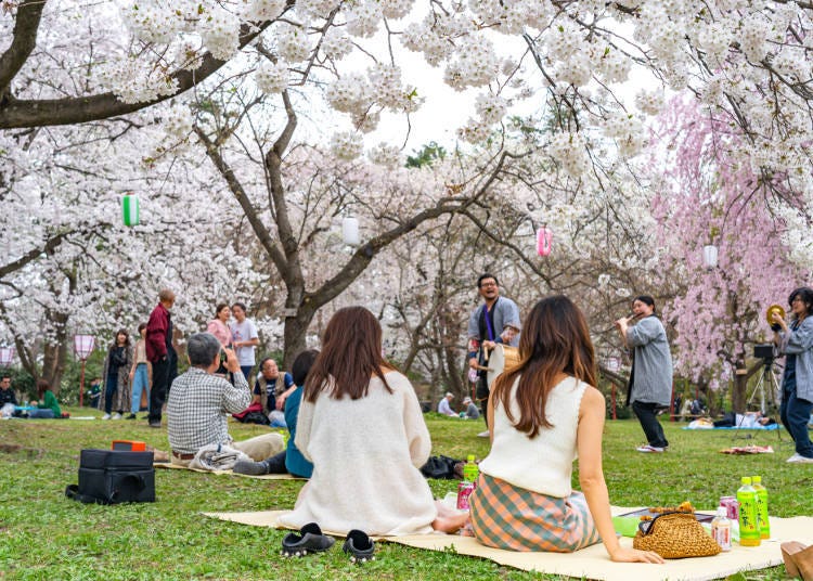 2. Hirosaki Cherry Blossom Festival (Hirosaki City, Aomori Prefecture)