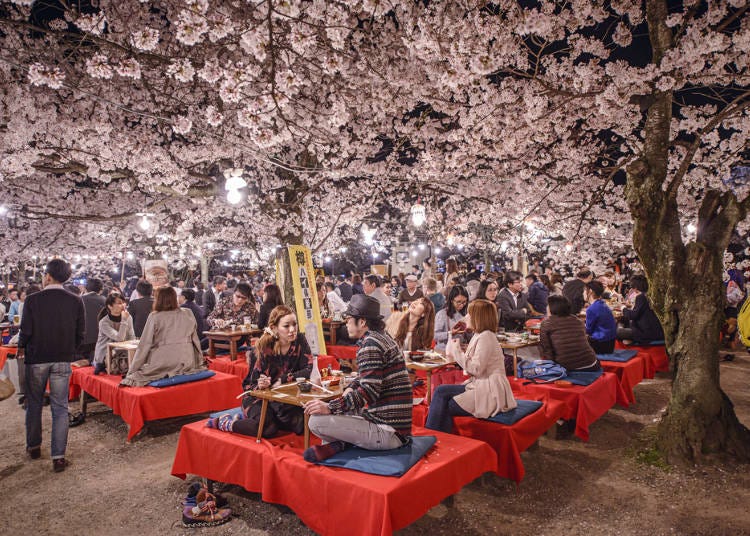 日本各地で開催される「桜まつり」とは？花見との違いや有名桜まつりを