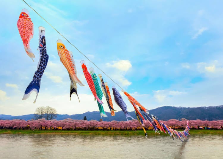 ④北上展胜地樱花祭／岩手县北上市