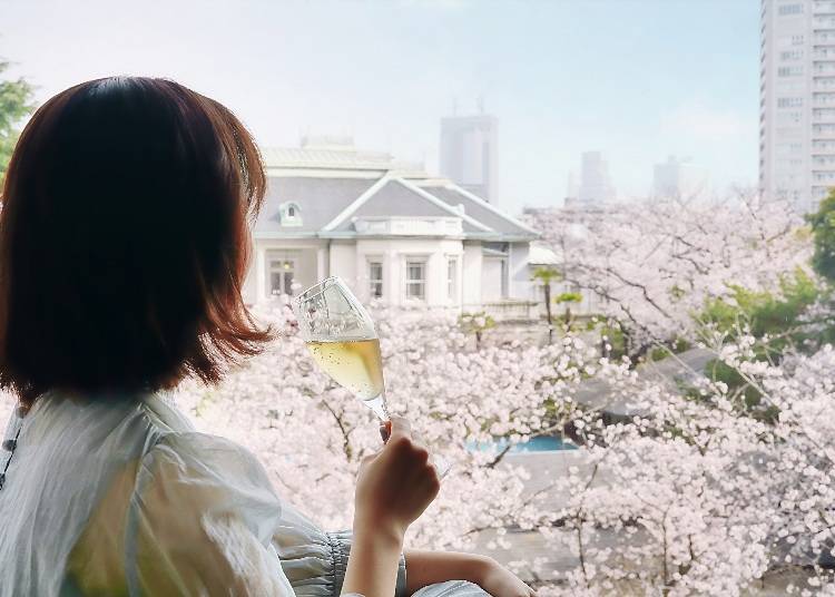The opportunity to enjoy the panoramic view of cherry blossoms from the window is only available during this season.