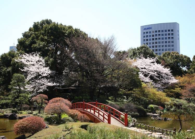 일본 정원측 확정 밸류레이트(조식포함) 객실플랜을 예약하면 창문을 통해 벚꽃을 바라볼 수 있다