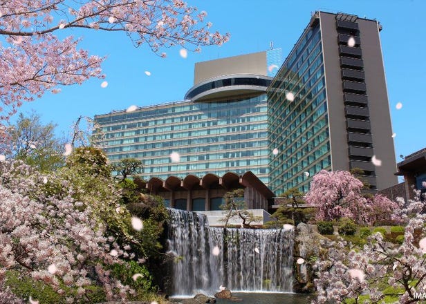 [東京&近郊]4間不出門就可賞櫻的飯店推薦，享受美景無干擾