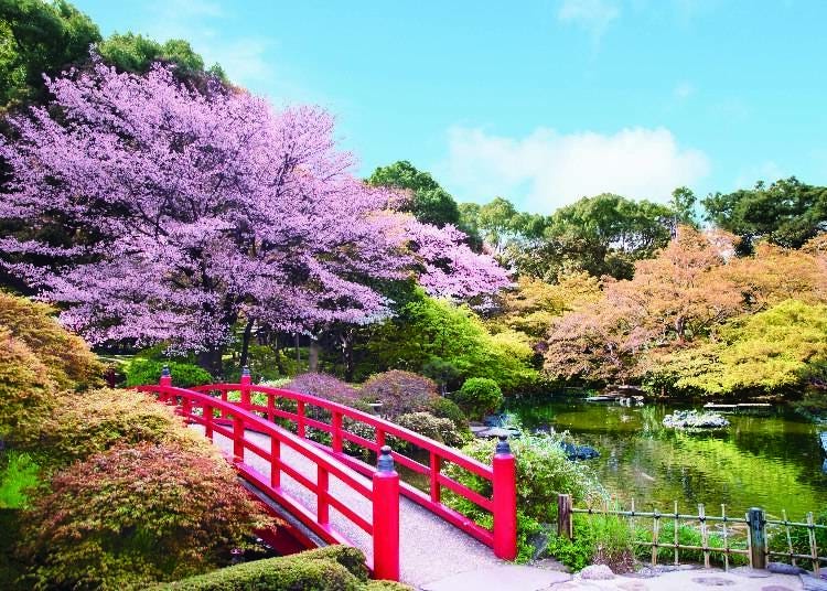 面積約4萬平方公尺的日本庭園