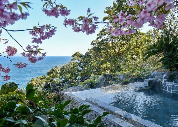 在露天浴池一邊泡湯一邊享受日本花見氣氛