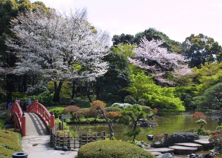佔地約4萬平方公尺的日本庭園