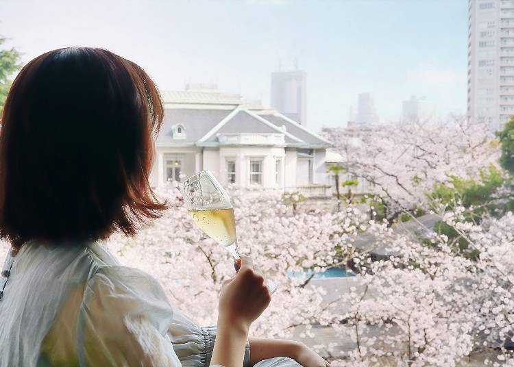 春季限定的窗外櫻花盛開美景，錯過了可就要再等一年囉～！