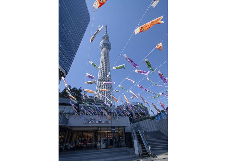 You can take the best photos of Tokyo Skytree and koinobori from Sorami-zaka. ※This is a photo of a past event. ©TOKYO-SKYTREETOWN