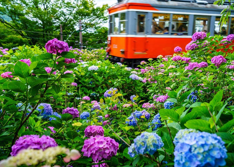 予約不要、全席自由席で乗車できます　写真提供：PIXTA