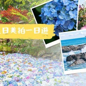 東京出發｜雨引觀音繡球花祭、東日本最大玫瑰園、絕美海上鳥居、人氣招財神社
▶點擊預約
圖片提供：KKday Japan