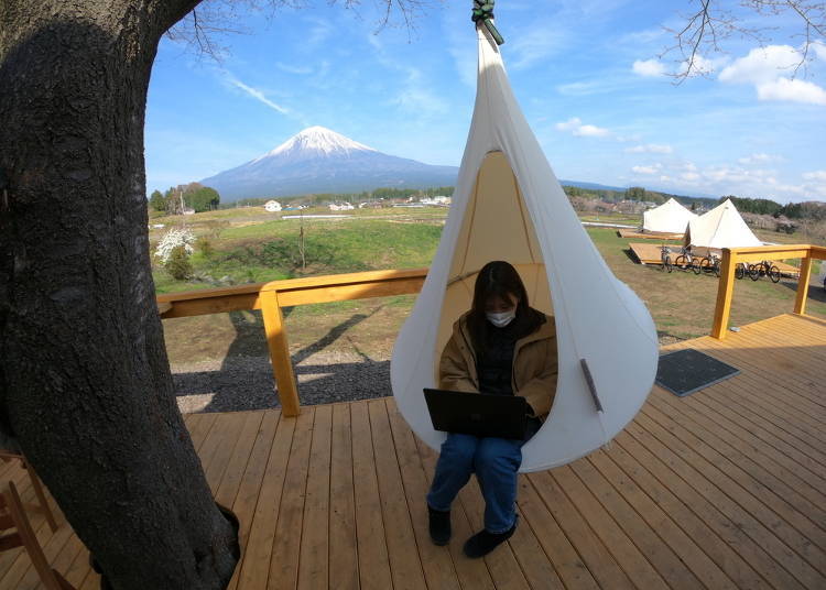 Swinging in a fashionable hammock while working on the computer!