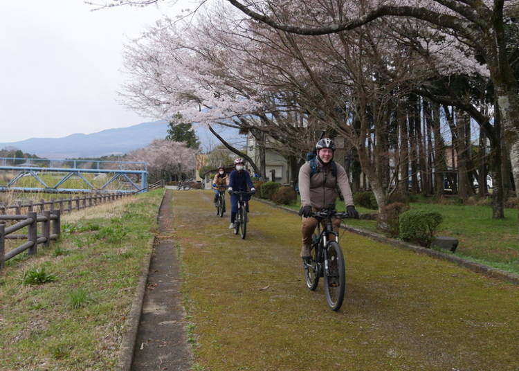 Whizzing by under cherry blossom trees!