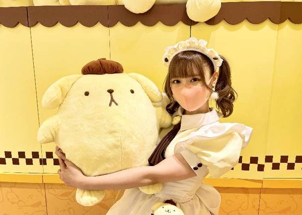 Adorable Japanese Character “Pompompurin” Gets a Maid Makeover in Harajuku: On-site Report