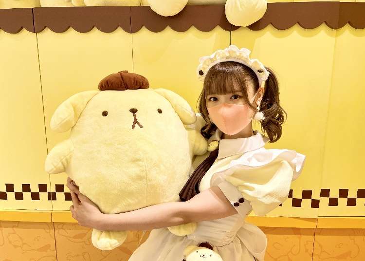 Adorable Japanese Character “Pompompurin” Gets a Maid Makeover in Harajuku: On-site Report