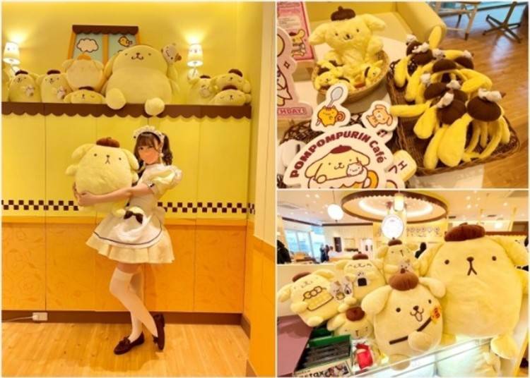 Get Your Photo with the Maids and Purin!