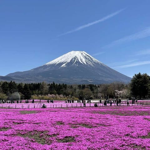 富士山 Live Japan 日本旅遊 文化體驗導覽