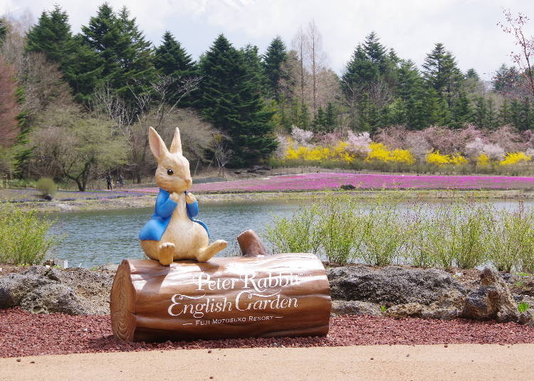 2. Peter Rabbit™ English Garden: Home to 300 Varieties of Flowers