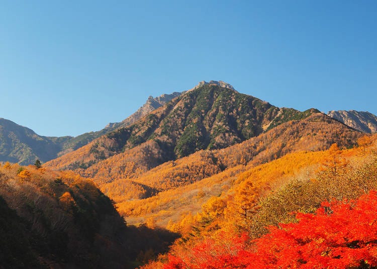 8. Yatsugatake Chushin-Kogen Quasi-National Park: A scenic haven