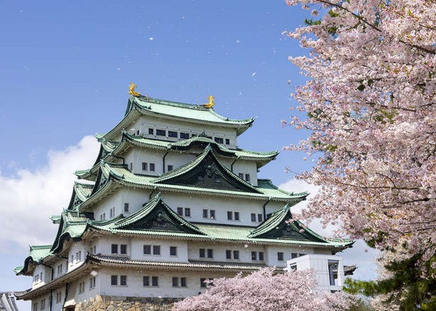 17 Fun Things to Do in Nagoya - Places to Go, Local Food & Sightseeing Tips