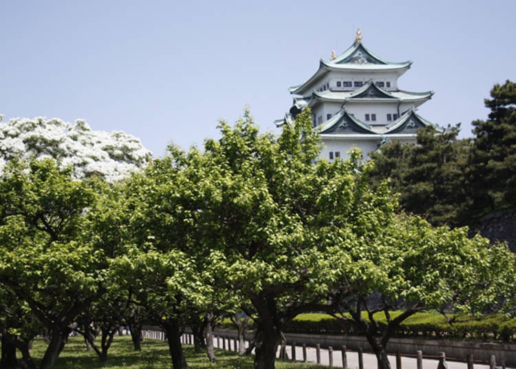 1. 參觀名古屋城與壯麗的本丸御殿