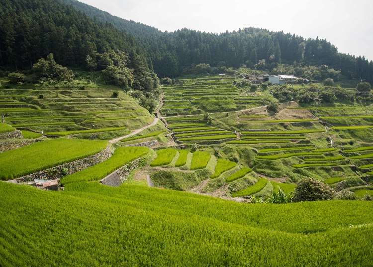 網紅景點海邊車站就在日本松山！必去景點介紹