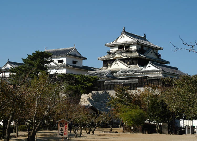 3. Matsuyama Castle