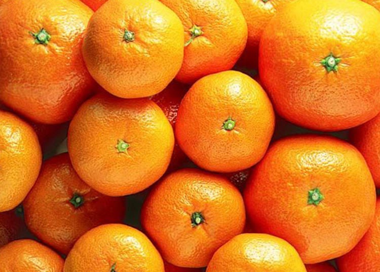 18. Mikan (Satsuma)