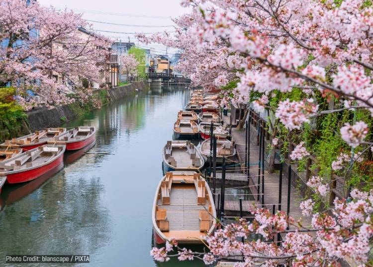 24. Cruise the canals of Yanagawa