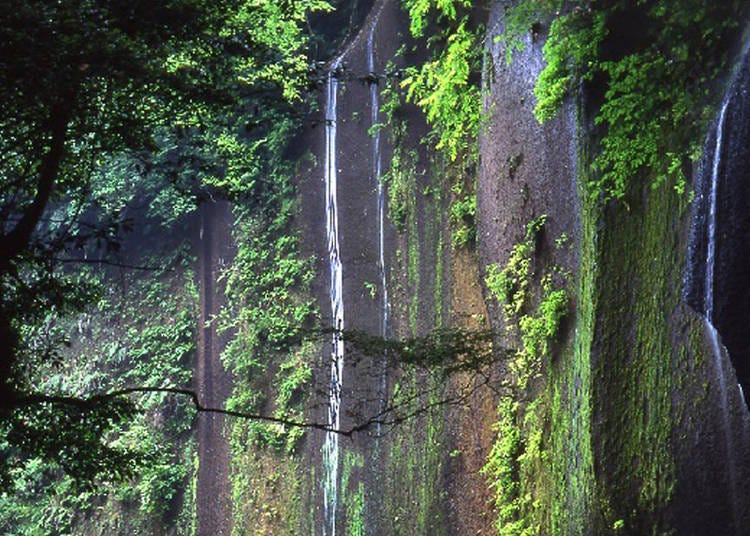 6. Yufu River Gorge