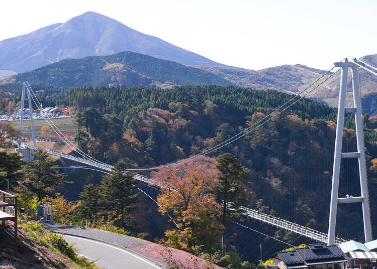 8. Kokonoe Yume Grand Suspension Bridge