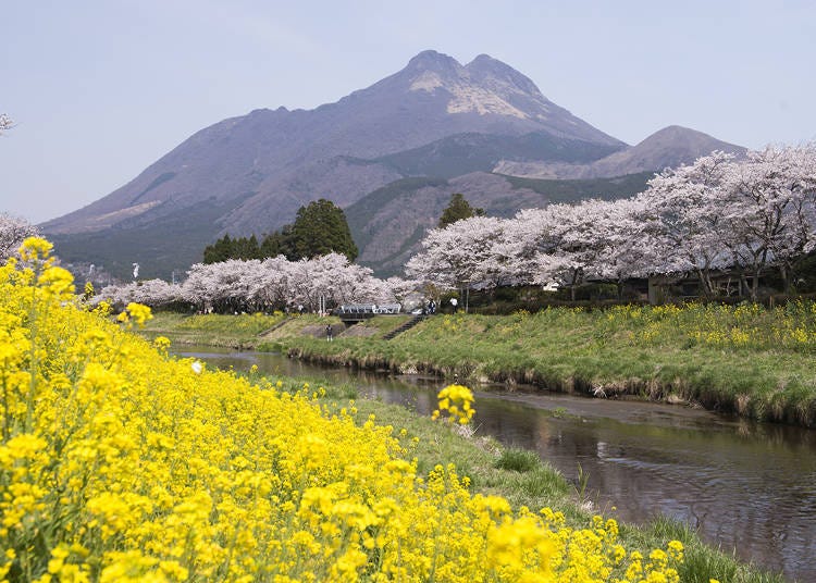 12. Mt. Yufu