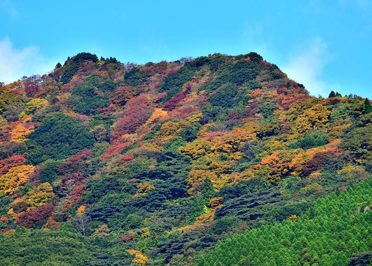 3. Mt. Hachimandake (Prefectural Natural Park)
