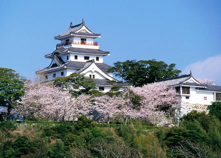 Photo courtesy of Saga Prefecture Tourism Federation