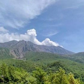 Exploring Sakurajima's History Half Day Walking Tour in Kagoshima
Details & Bookings ▶