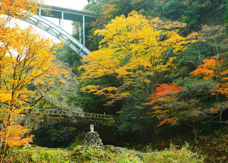 8. Takachiho