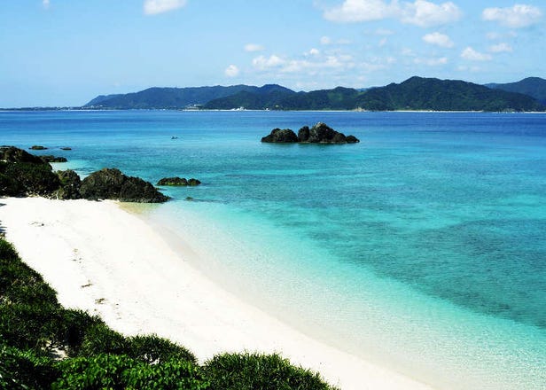 일본의 섬 여행 - 야쿠시마 남서쪽의 아마미오 섬