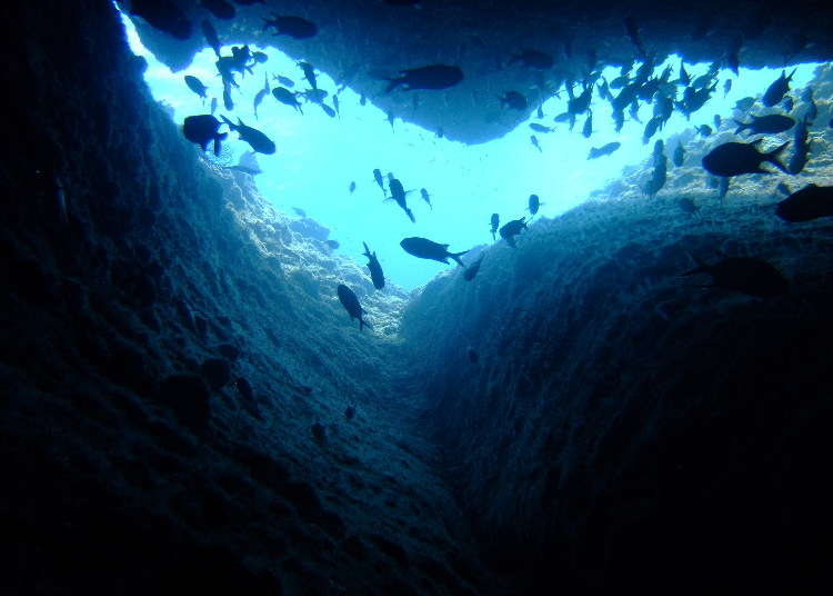 19 Fun Things To Do In Naha Okinawa Places To Go Local Food Sightseeing Tips Live Japan Travel Guide