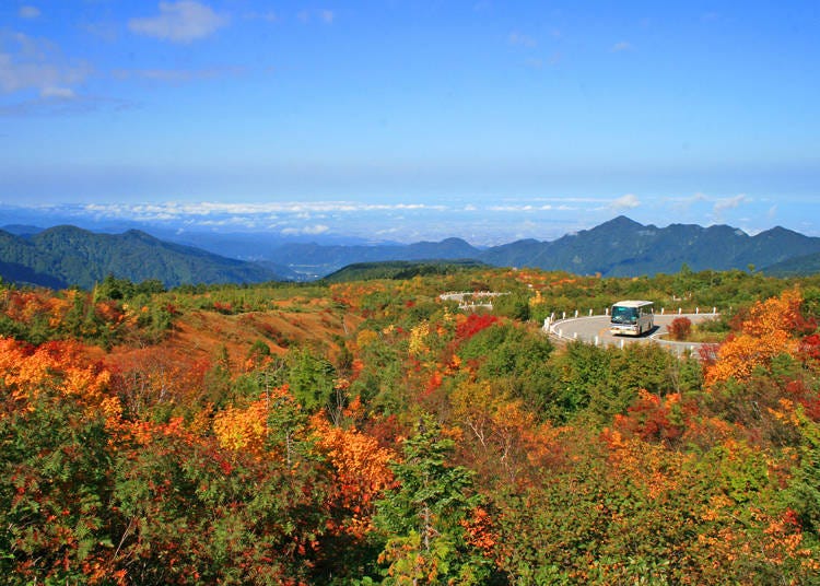 toyama ken tourist spot