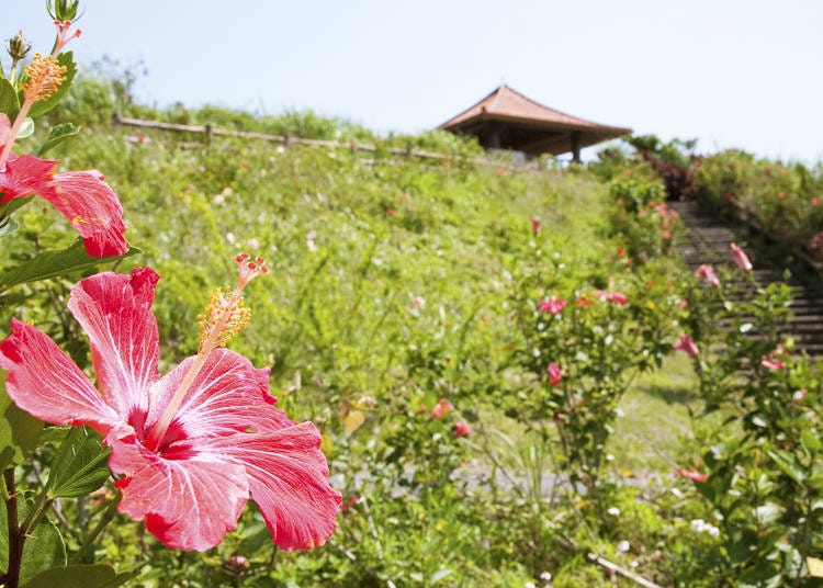 3. Tamatorizaki Observatory