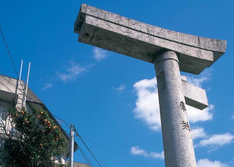 6. Sanno Shrine (One-Legged Torii Arch & Camphor Trees)