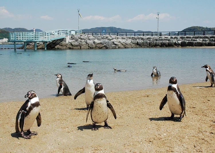 nagasaki japan tourist spot