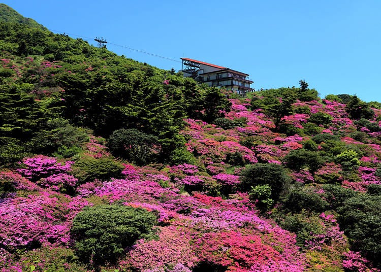 15. Unzen Nita Pass